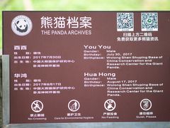 -都江堰中华大熊猫苑