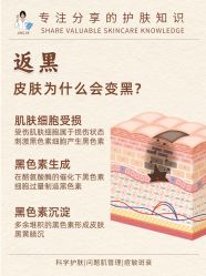 -玛莲朵·海菲秀冰珀科