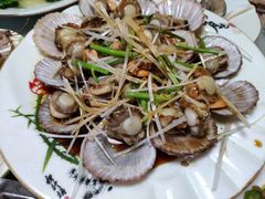 油泼扇贝-天伦海鲜·老味道·青岛菜(栈桥天主教堂店)