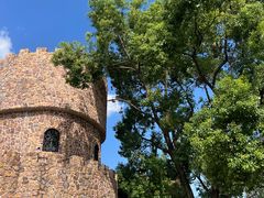 -J Create城市露营咖啡·简餐·宠物(上海动物园店)