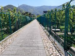 -树山生态村