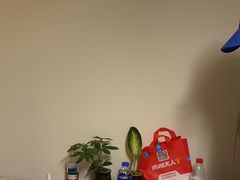 -剧狐剧本杀(徐汇1号店)