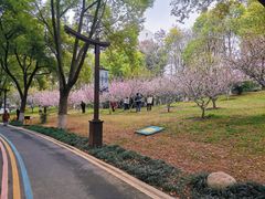 -堤角公园