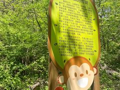 -大岭沟猕猴桃谷风景区