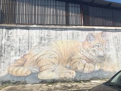 -槟城街头艺术街区