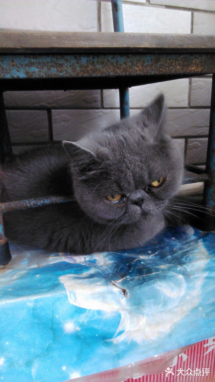 对不起的淘小桃🍑为什么不能珍惜过去的好时光？