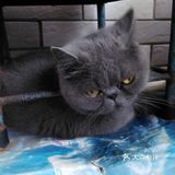 对不起的淘小桃🍑为什么不能珍惜过去的好时光？