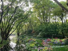 -上海共青森林公园