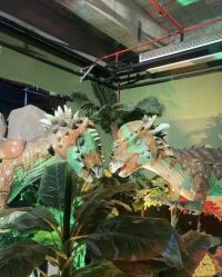 -恐龙探索乐园(磁器口店)