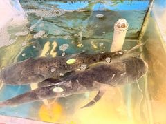 -鑫悦楼煎蟹·16年海鲜大排档