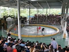 -泉州海丝野生动物世界