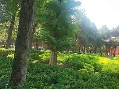 -洛阳白马寺