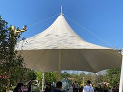 -合肥滨湖国家森林公园