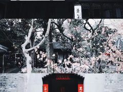 -个园