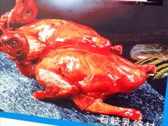 -石岐乳鸽村(桥观坊南四巷店)