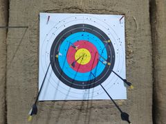 -蓝天射箭馆·专业射箭运动(诚丰广场店)