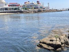 -北戴河碧螺塔海上酒吧公园