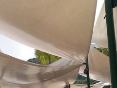 -重庆海昌加勒比海水世界
