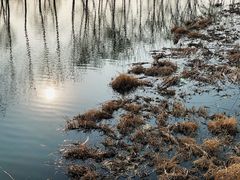 -东郊湿地公园