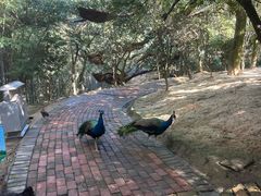 -泉州海丝野生动物世界