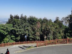 -黄埔油麻山森林公园