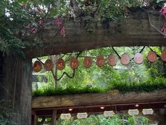 -西双版纳原始森林公园