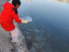 -北运河水利风景区