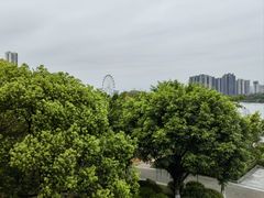 -飞来湖湿地公园