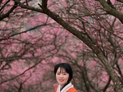 -新建村梅花