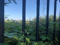 -河南牧业经济学院(龙子湖校区)