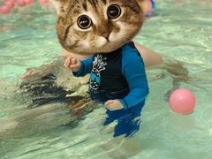 -杭州开元森泊度假乐园