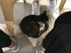 -镇南锅盖面馆(解放路店)