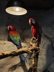 -Zoolung Zoolung动物主题公园(海信广场店)