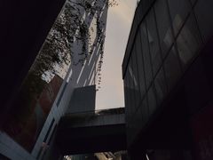 -真北路(地铁站)