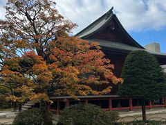 -医王山·飞騨国分寺