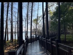 -东湖落雁景区