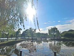 -金鸡湖桃花岛