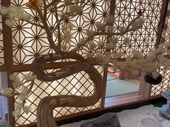 -文三酒肆自助放题(新街口友谊广场店)