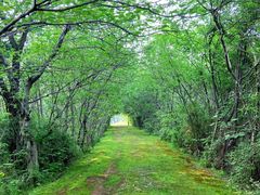 -盘龙城国家考古遗址公园