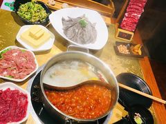 -手选潮汕鲜活牛肉火锅(二七广场店)