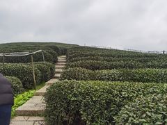-听风阁农家私房菜茶楼(龙坞店)
