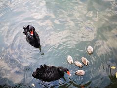 -广州长隆野生动物世界