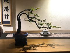 -菩提书坊(侨福大厦店)