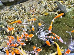 -福州罗源湾海洋世界旅游区
