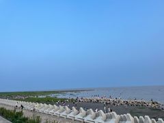 -南汇新城海滩