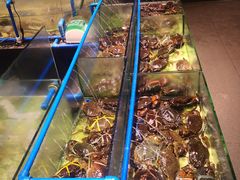 -Isla Sugbu Seafood City