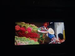 -御养源·影院式足道·按摩SPA·星级自助餐(青秀店)