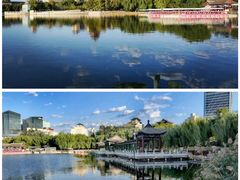 -莲花池公园