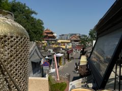 -Sirena海妖日咖夜酒