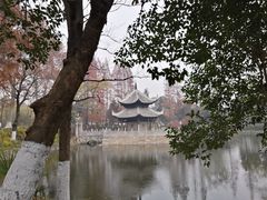 -习家池